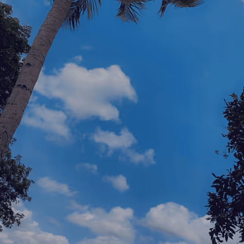 Item #53824836538918648026680043126042186080742309087165823150174572760568877285377 Media