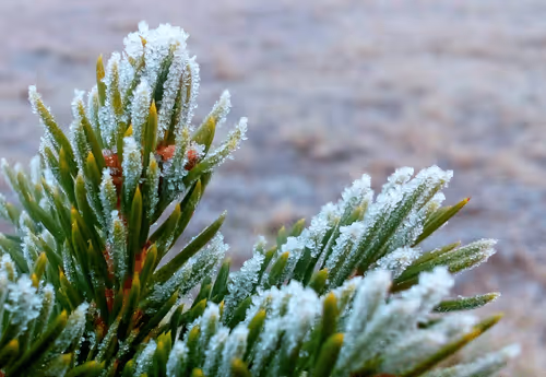 Item #55297223282317197917185791022658401724226762533250968792427961476259931750401 Media