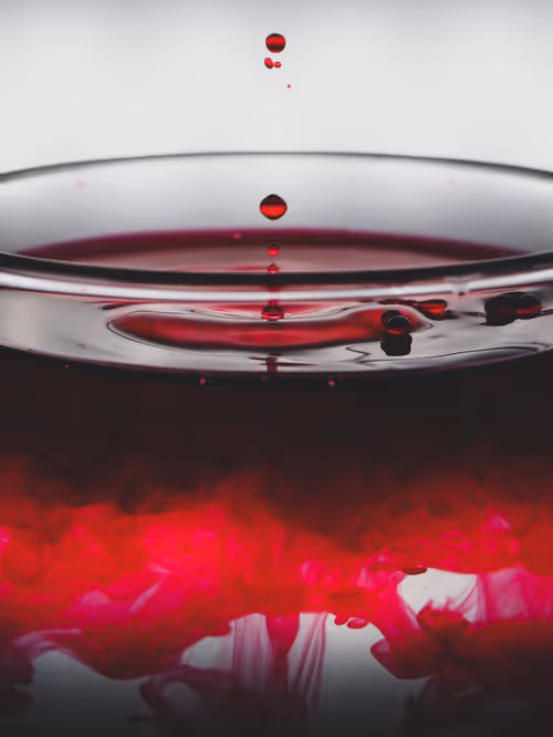 Item #39391070493116977564899321791408150162796374052111424108014134452433685839873 Media