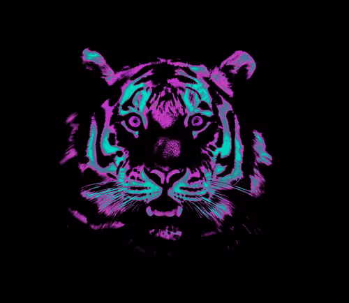 Item #59191331976373817351168936275193705412897253256458674987346138602801528307713 Media