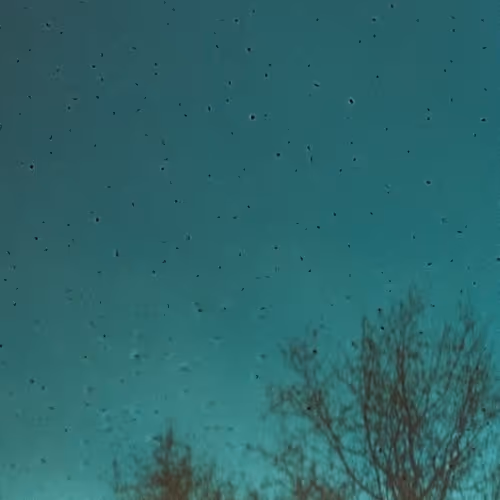 Item #26240500746670689107494502172529202966173513927234395913133241680970127507457 Media