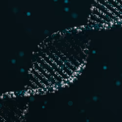 113395677080381858456097698969021148731173449515476865940740430447659223875585