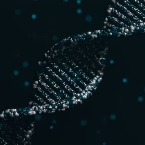 113395677080381858456097698969021148731173449515476865940740430447659223875585