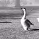 111350588366342381396998307386215643632575640444575873121092365999432689254401