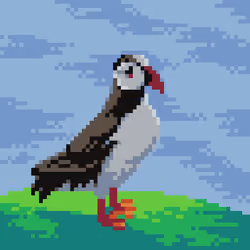 Dove