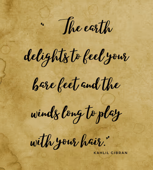 Item #74244561265385560548005883535502276132434054888589550816365993528263335477249 Media