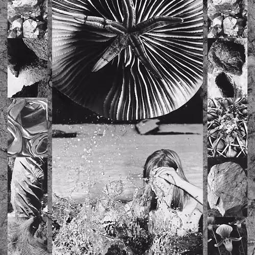 Item #75273069813984072057993738106185652471474454603567834826338096176135690780673 Media