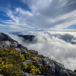 Magical Mountain