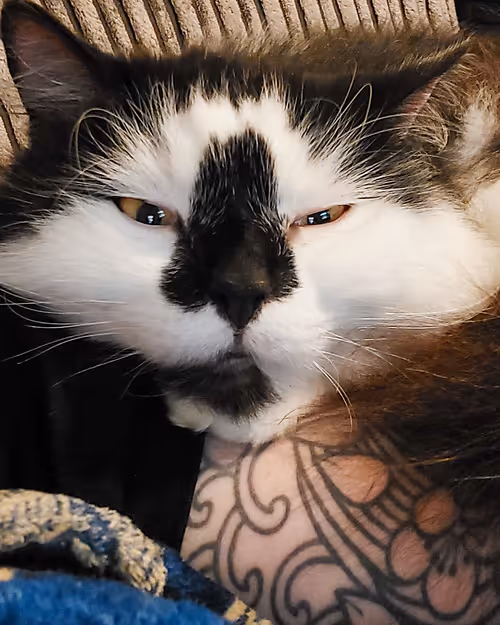 Item #13161020314009032005485822086301964352885579695205061807387255223459141124097 Media