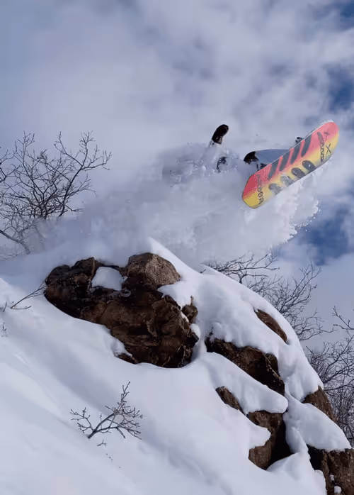 Item #40821218314589201577420251818342129400571051264050532444414071825946231439361 Media