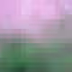 114984255035799493352334756197527249174458763517331665200761231782364173041665