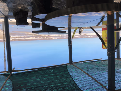 Untitled Collection #72019957