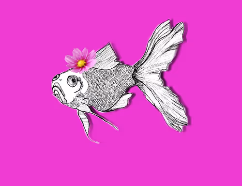 HopelessFish #6770