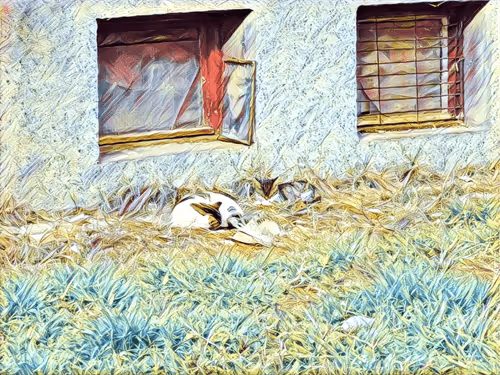 Item #46397680814911453718365897270123246439130732684861044295736256091308783828993 Media