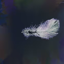 72932321608233697749117711298000337470595698923978217717692158368202245537793