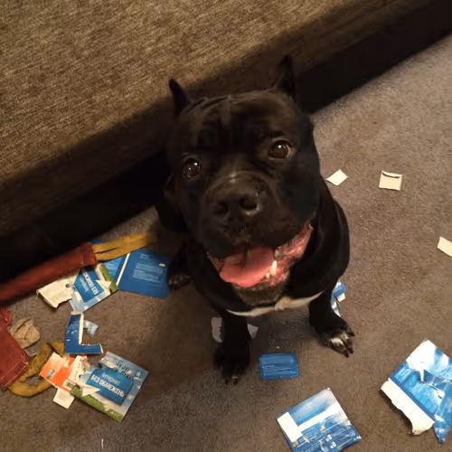 Item #37182515887132438156716547995651835477676529273037928400733563055508495007745 Media