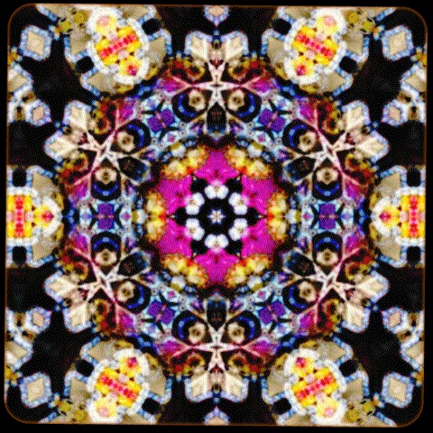 Item #103281051619592348087183206186418989279051956763323201953202030200299980929152 Media