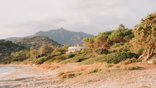 Item #38122789688901439809608562856729085960358328057221492569725414905991997161473 Media