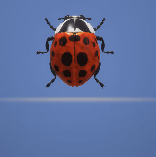 Item #34852186502624217453829761604999891751563499599124739945275168415316319404033 Media