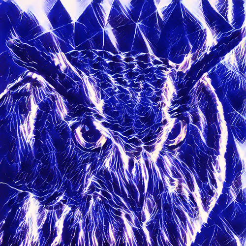 Item #52425573336092519837726043644508007242056972111982820683155420177807215427585 Media