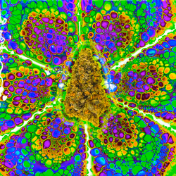 13955282856406335165414100891374623718709547313428947888299034046216764653569