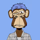 52255750397509326202791786872394339480799279693245141695584347563158015049729