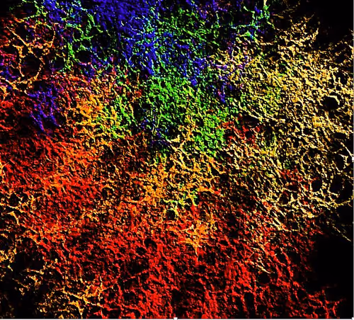 Item #97667747305328880677719999642930270019019806513031101726286666971925784297473 Media