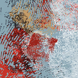 16099289534565677817009981985909100596642615095570704535402562831428775575553