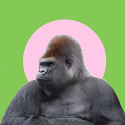 The Alpha Male 🅳🅸🆂🅴🅼🅿🅾🆆🅴🆁🅼🅴🅽🆃 #0001