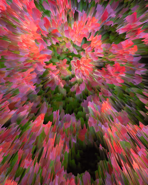 Item #56373436807319567570277133496583140716078288653308511273073736229146742226945 Media