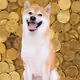 14110750434863289551483341091332451972318814504365224837194844195461254873089