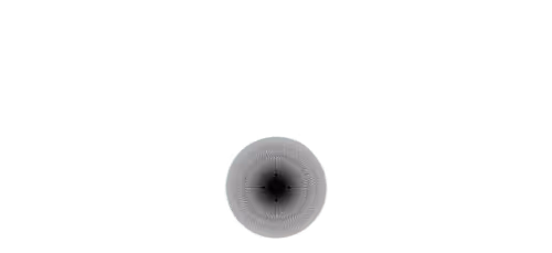 Untitled Collection #264523045