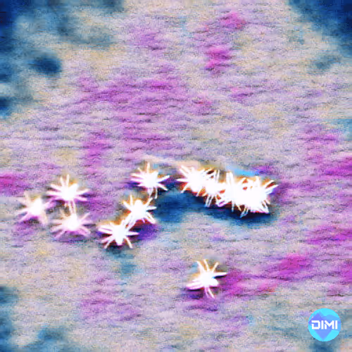 Item #53665570639858827213753217927437831230620585018769259056530445085972493238273 Media