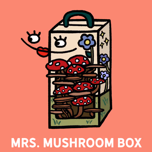 Mrs. Mushroom Box