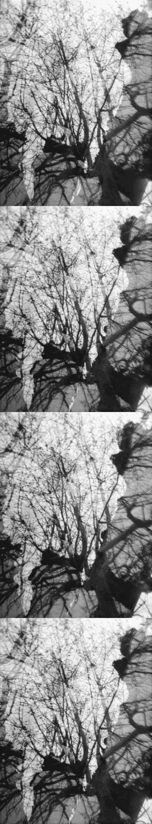 Item #46677297122039031221449977847173365421667821442589389250428357150500062232577 Media