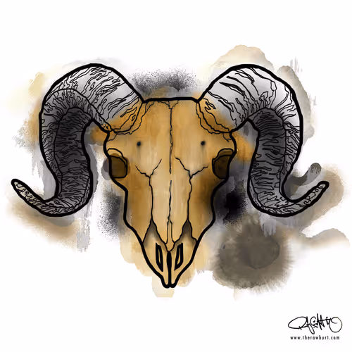 Item #97378684202190313618742881299900857639720184771104694828342462808508243902465 Media