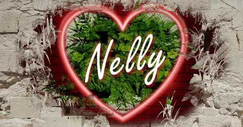 Item #68053287575525751288269231675427811746861684968250582901590729512268788137994 Media