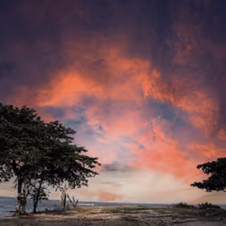 Painted Skies