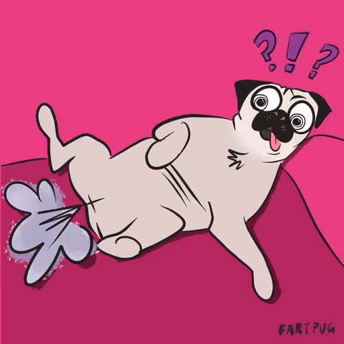 Item #85362430766667722675884424288974458859246388639412681689314961268055562256385 Media