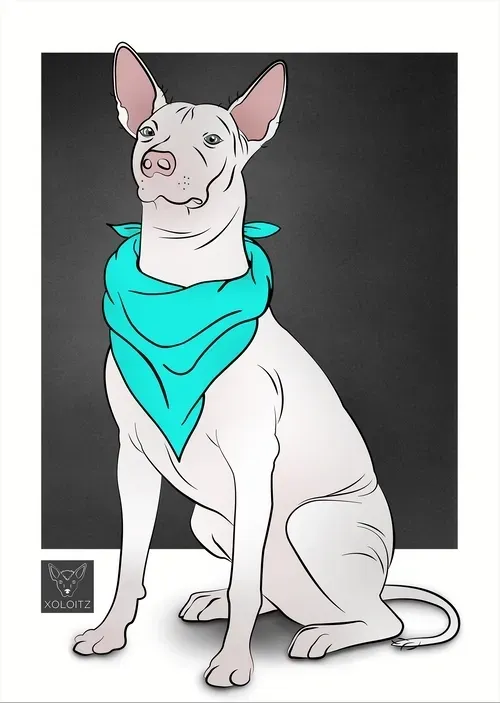 Item #115412186582648874764752321087999128692557907064492986516876109643645288710145 Media