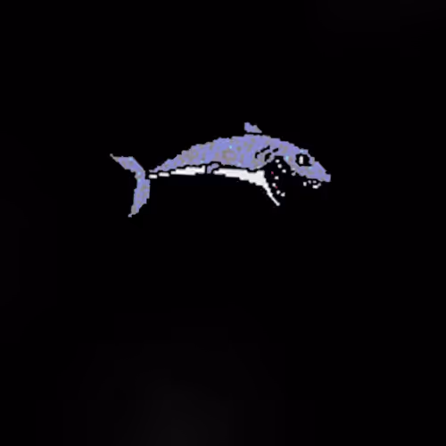 Sharkey Shark