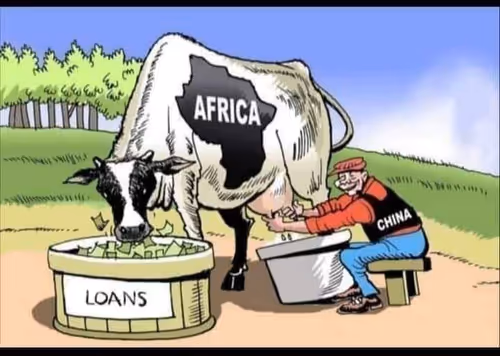 Untitled Collection #171546081