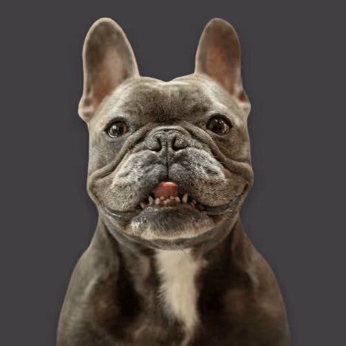 99031261785432219130552668818269695456905868997165113515571762249981998661633