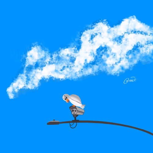 Item #96565255991448571774503658946933151443368126134355221537836723918035539197953 Media