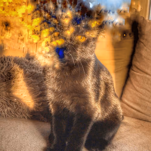 Untitled Collection #454321783