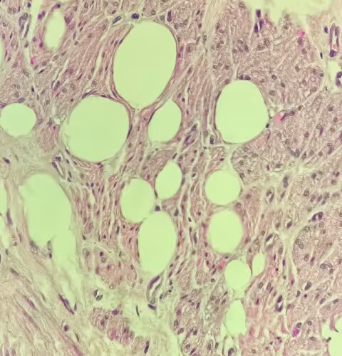 Item #69482328620963259394518629310031225359997111203048028238990119570763543478273 Media