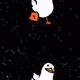 92658688852175125898016944295387720263069768854307104911514495997742143242241