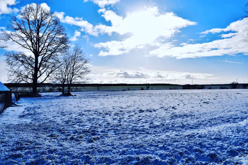 Item #25048395052866519615583306303043483840076282884633851044387431709182502371329 Media