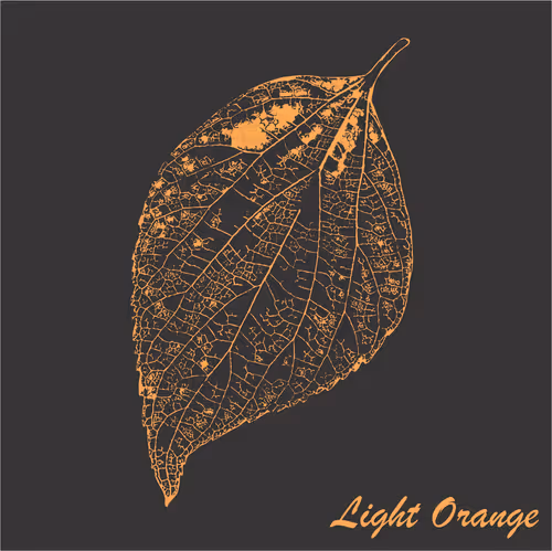 Item #40167138637940562108431742001123872206105593199433866487640627839565836582913 Media