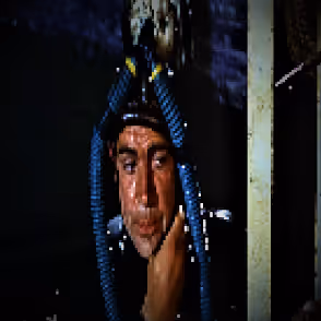 Item #11629045944554145276955138533507993317678622250476232202013339828494272561153 Media